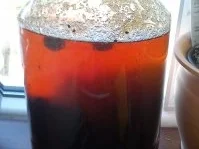 Schlehen Likör die 2. - Rezept - Bild Nr. 2