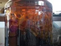 Rezept: Schlehen - Likör Bild Nr. 2 Schlehen - Likör - Rezept - Bild Nr. 2