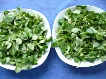 Rezept: Feldsalat mit Thunfisch Bild Nr. 3 Feldsalat mit Thunfisch - Rezept - Bild Nr. 3