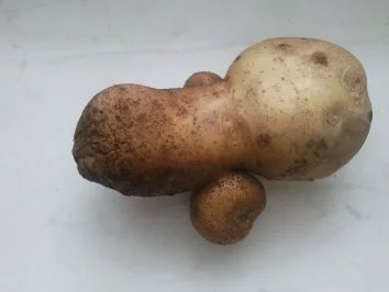 Rezept: Bratkartoffeln mit Spiegelei Bild Nr. 2 Bratkartoffeln mit Spiegelei - Rezept - Bild Nr. 2