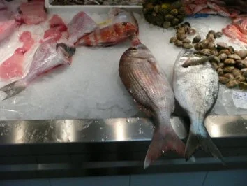 Rezept: FiSCH:Urta a la roteña Bild Nr. 2 FiSCH:Urta a la roteña - Rezept - Bild Nr. 2