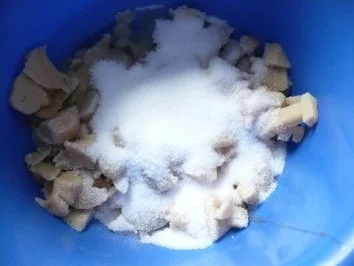 Aprikosen -Kokos -Kipferl - Rezept - Bild Nr. 3