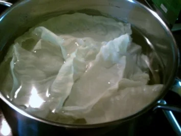 Sarma - Rezept - Bild Nr. 4