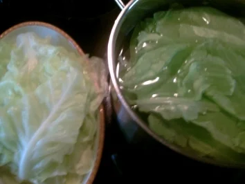 Sarma - Rezept - Bild Nr. 5