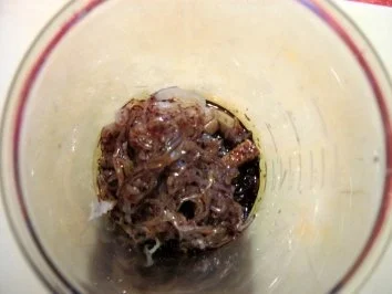 Kasseler-Carpaccio mit Sauerkrautpesto an Sauerkrautsalat - Rezept - Bild Nr. 3