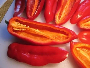 Rezept: Rote Spitzpaprika gefüllt ... Bild Nr. 4 Rote Spitzpaprika gefüllt ... - Rezept - Bild Nr. 4