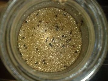 Pok Choi /  Keine STERNEN vergeben bitte!!! - Rezept - Bild Nr. 10