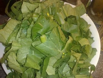 Pok Choi /  Keine STERNEN vergeben bitte!!! - Rezept - Bild Nr. 8