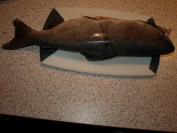 Rezept: Graved Lachs aus Wildlachs Bild Nr. 2 Graved Lachs aus Wildlachs - Rezept - Bild Nr. 2