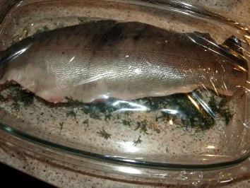 Rezept: Graved Lachs aus Wildlachs Bild Nr. 9 Graved Lachs aus Wildlachs - Rezept - Bild Nr. 9