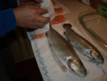 Rezept: Räucherfisch selbstgemacht Bild Nr. 2 Räucherfisch selbstgemacht - Rezept - Bild Nr. 2