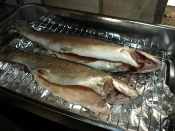 Rezept: Räucherfisch selbstgemacht Bild Nr. 6 Räucherfisch selbstgemacht - Rezept - Bild Nr. 6