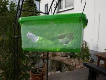 Rezept: Räucherfisch selbstgemacht Bild Nr. 5 Räucherfisch selbstgemacht - Rezept - Bild Nr. 5