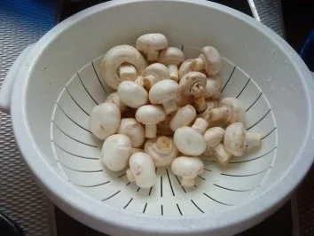 Brokkoli-Champignon-Hühnchen Lasagne - Rezept - Bild Nr. 3