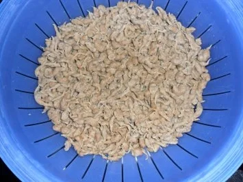 Rezept: Suppeneinlagen:Leberspätzle Bild Nr. 8 Suppeneinlagen:Leberspätzle - Rezept - Bild Nr. 8