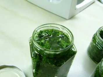 Rezept: Bärlauch-Paste Bild Nr. 8 Bärlauch-Paste - Rezept - Bild Nr. 8