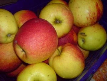 Weihnachtlicher Apfelkuchen - Rezept - Bild Nr. 4