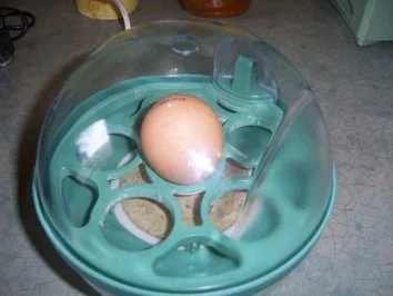 Tomatensalat mit Almkäse - Rezept - Bild Nr. 3