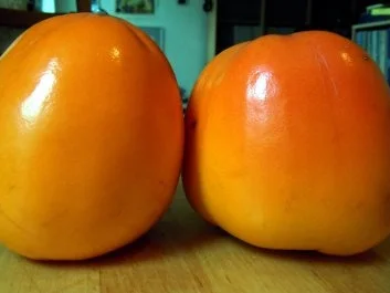 Khaki-Mousse mit Schokoladen-Whisky-Sauce - Rezept - Bild Nr. 2