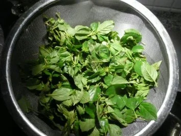 PESTO VERDE - Rezept - Bild Nr. 4