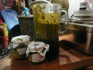 PESTO VERDE - Rezept - Bild Nr. 9