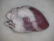 Fleisch: Lammherz geschmort - Rezept