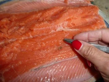 Rezept: FISCH :GRAVED LACHS 1 Bild Nr. 2 FISCH :GRAVED LACHS 1 - Rezept - Bild Nr. 2