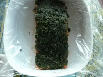 Rezept: FISCH :GRAVED LACHS 1 Bild Nr. 3 FISCH :GRAVED LACHS 1 - Rezept - Bild Nr. 3