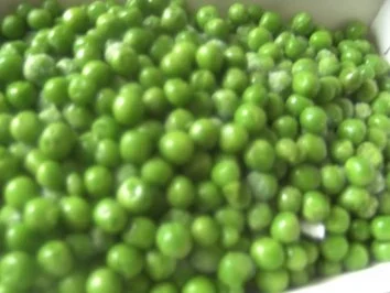 Erbsen-Schaum-Süppchen - Rezept