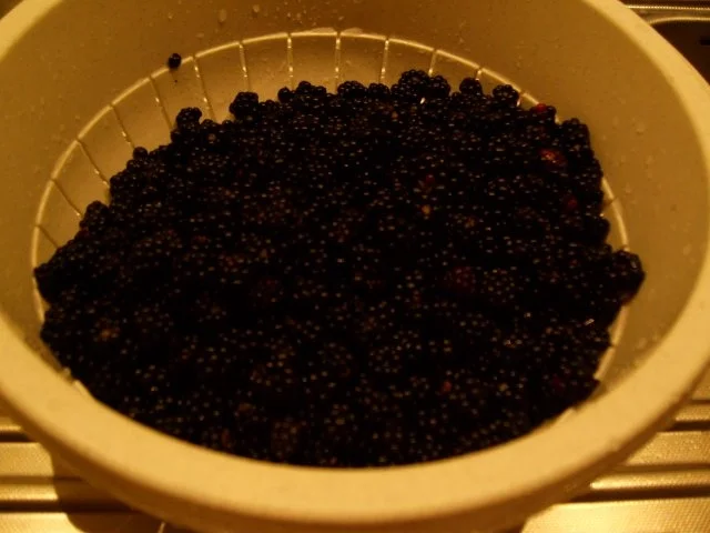 1 RZ für Tortenboden mit Obst - Rezept - Bild Nr. 5