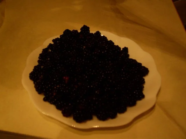 1 RZ für Tortenboden mit Obst - Rezept - Bild Nr. 7