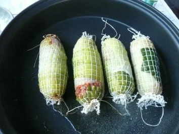 GEFLÜGEL/HÄHNCHENROULADE 3 - Rezept - Bild Nr. 3