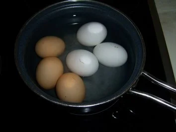 Eier in Senf-Dill-Soße mit Bild - Rezept - Bild Nr. 2