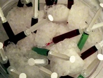 Rezept: Blut oder Gift Blut oder Gift - Rezept