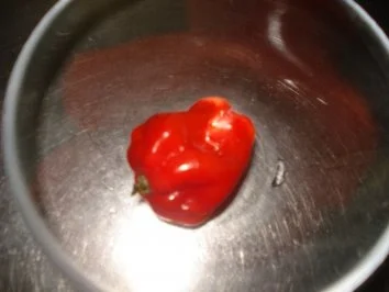 stew aus nigeria - Rezept - Bild Nr. 9