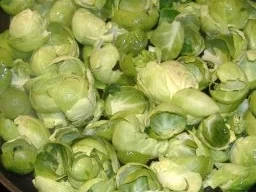 Lammrücken mit Ziegenkäse-Mandelkruste auf Malaga-Jus - Rezept - Bild Nr. 7