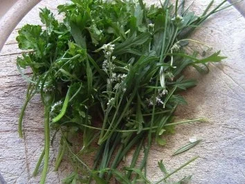 Rezept: Kräuterbrühe Bild Nr. 2 Kräuterbrühe - Rezept - Bild Nr. 2