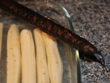 Schwarzwurzel Panna Cotta - Rezept - Bild Nr. 3