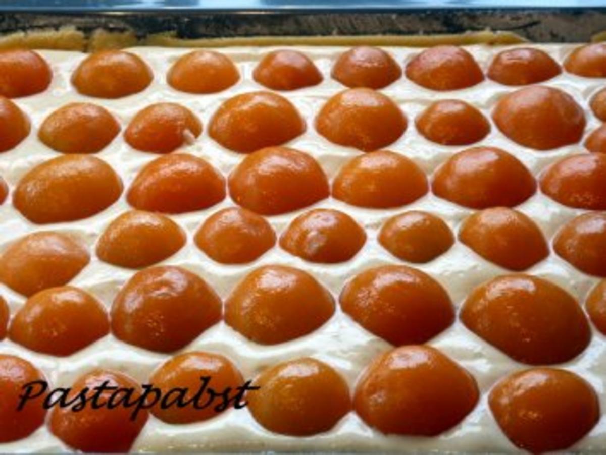 Aprikosen-Quark-Kuchen - Rezept - Bild Nr. 2