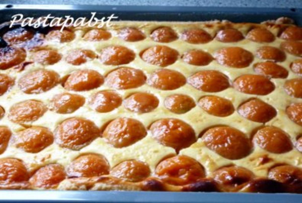 Aprikosen-Quark-Kuchen - Rezept mit Bild - kochbar.de