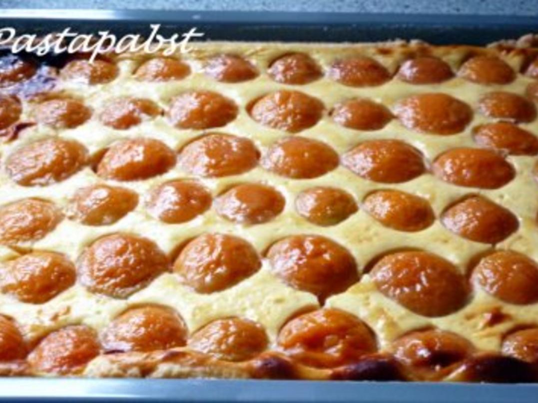 Aprikosen-Quark-Kuchen - Rezept mit Bild - kochbar.de