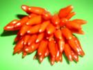 Piri-Piri-Sauce - Rezept