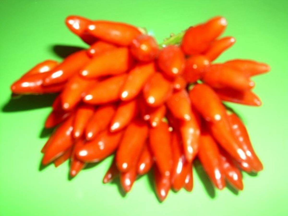 Piri Piri Sauce schnell & einfach 139 kcal/100g