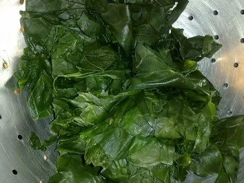 Rezept: Manti und Spinat überbacken / Keine STERNEN vergeben bitte!!! Bild Nr. 13 Manti und Spinat überbacken / Keine STERNEN vergeben bitte!!! - Rezept - Bild Nr. 13