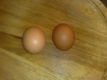 Sucuk-Pfanne / Keine STERNEN vergeben bitte!!! - Rezept - Bild Nr. 5