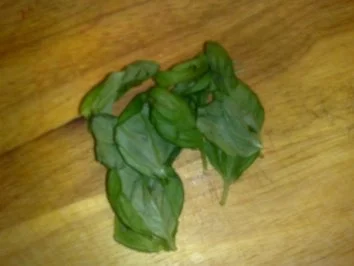 Rezept: Tomaten-Mozarella-Basilikum-Sesam-Salat / Keine STERNEN vergeben bitte!! Bild Nr. 3 Tomaten-Mozarella-Basilikum-Sesam-Salat / Keine STERNEN vergeben bitte!! - Rezept - Bild Nr. 3