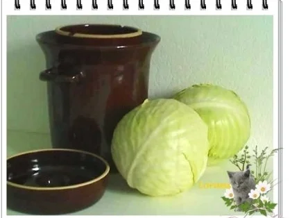Eingemachtes - Sauerkraut selber machen - Rezept