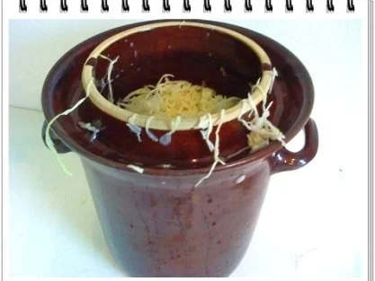 Sauerkrautsalat mit Möhre und . . . - Rezept - Bild Nr. 2