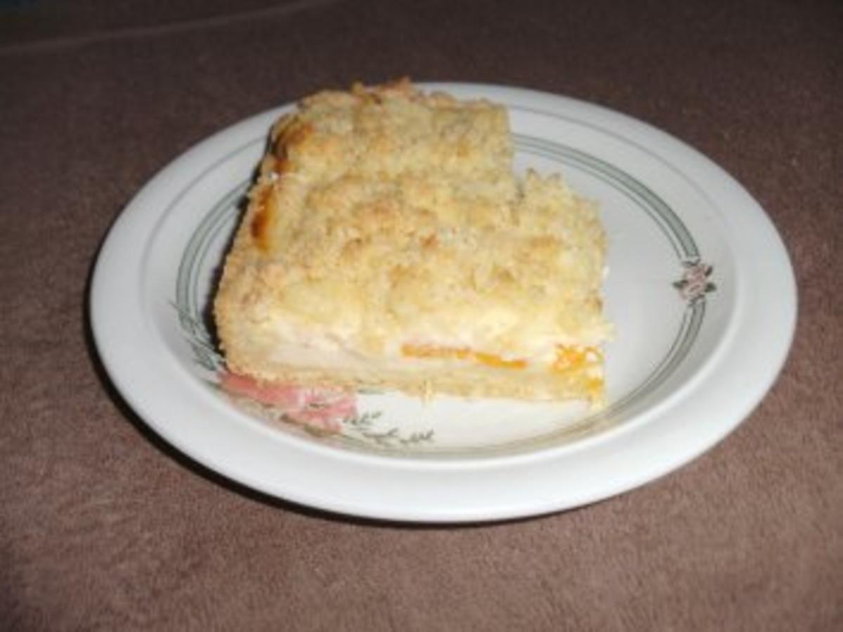 Mandarinenkuchen mit Quark und Kokosstreuseln - einfach - von Backfee1961