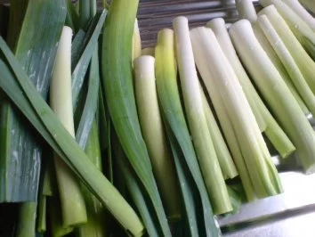 Porreegemüse zu Paprikaschnitzelchen - Rezept - Bild Nr. 3